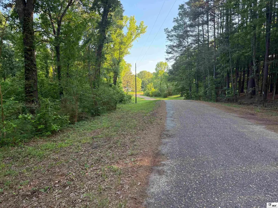 138 Buck Drive, Downsville, LA 71234 - #3