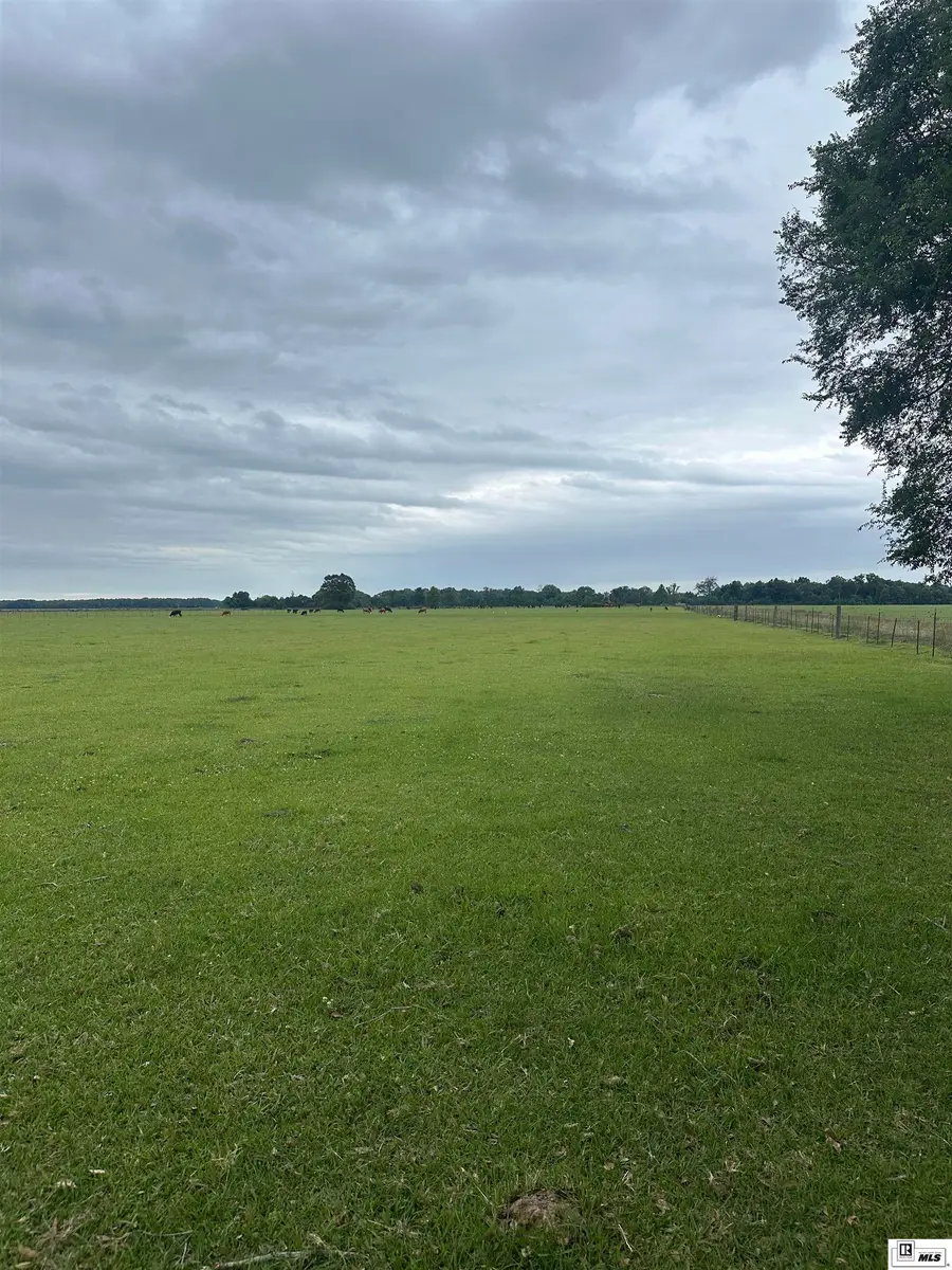 Lot 1 Sam Davis Road, Winnsboro, LA 71295 - #2