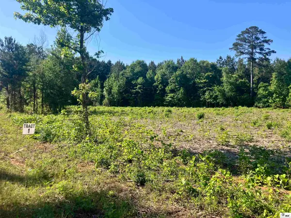 9014 Lot 5 Highway 80, Simsboro, LA 71275