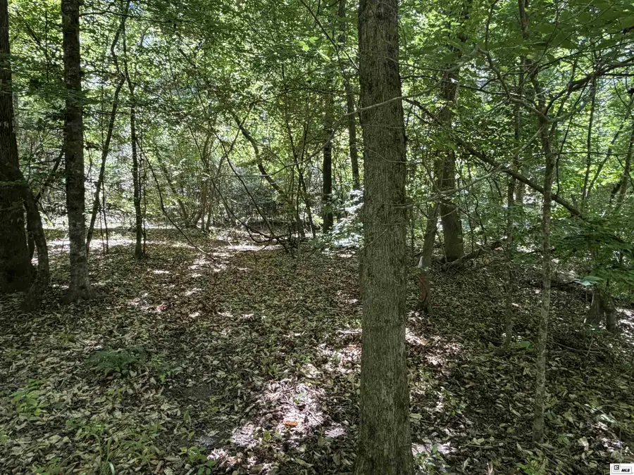 000 Wheeler Road, Marion, LA 71260 - #2