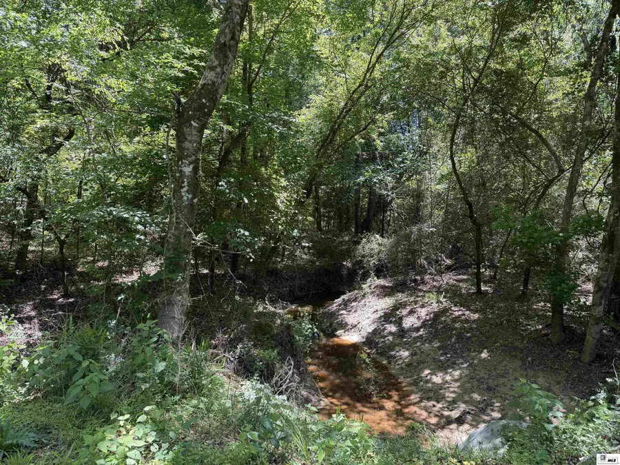 000 Wheeler Road, Marion, LA 71260 - #3