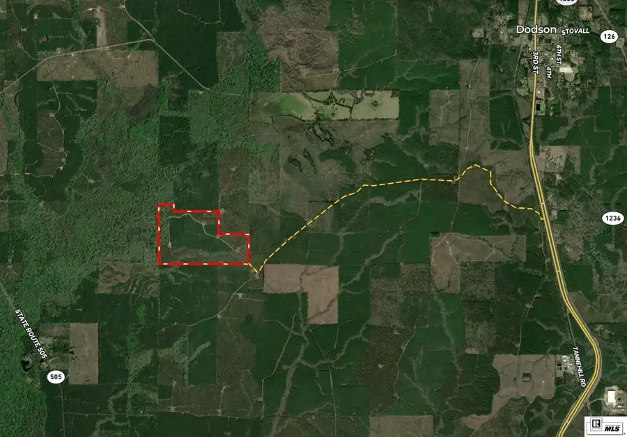 0 Old Dodson Road, Dodson, LA 71422 - #3
