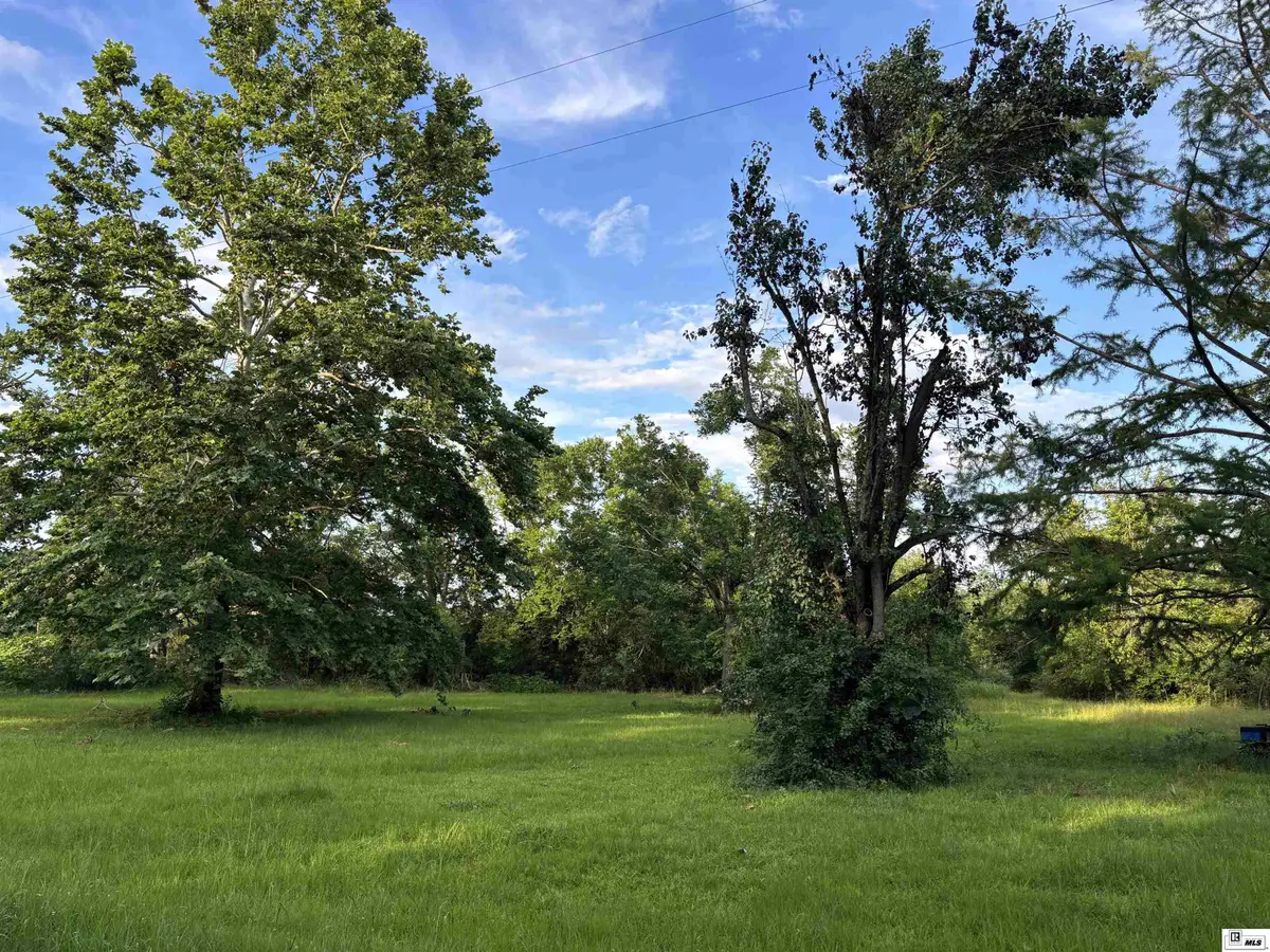 205 Pettit Road, Rayville, LA 71269 - #1