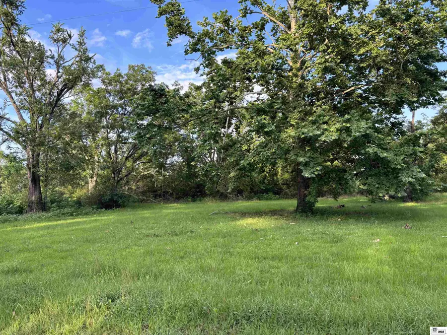 205 Pettit Road, Rayville, LA 71269 - #2