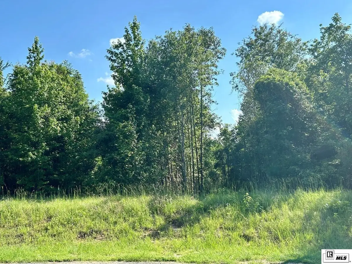 000 North Pointe Drive, Downsville, LA 71234 - #1
