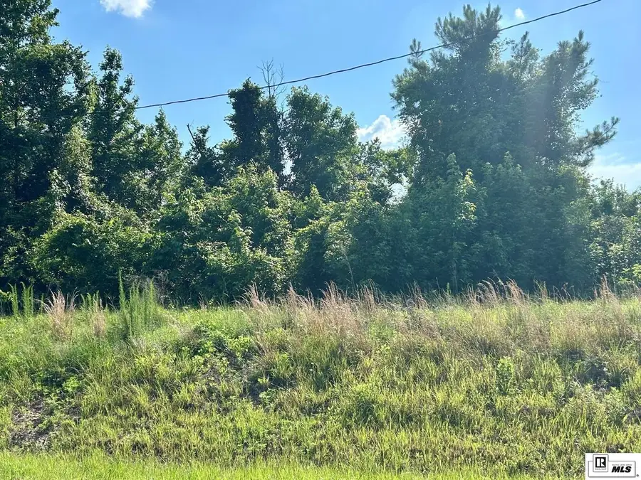 000 North Pointe Drive, Downsville, LA 71234 - #2