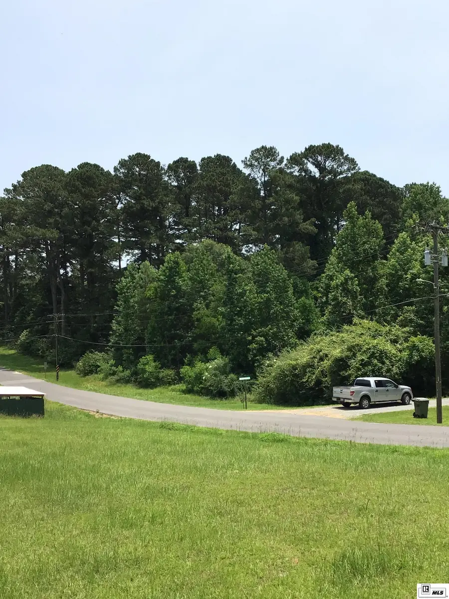 000 James Avenue, Farmerville, LA 71241 - #3