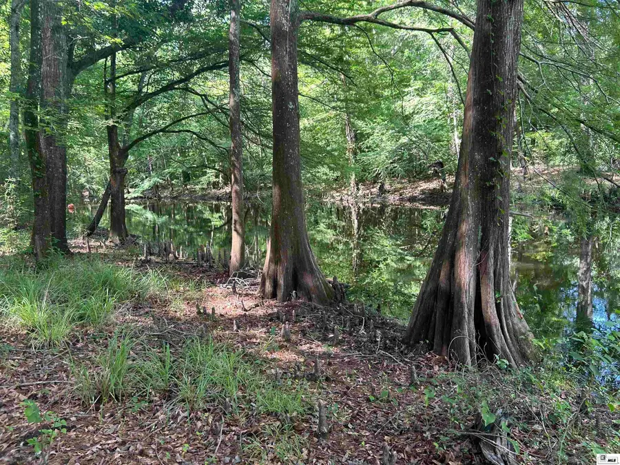 119 Bud Davidson Road, Bernice, LA 71222 - #2