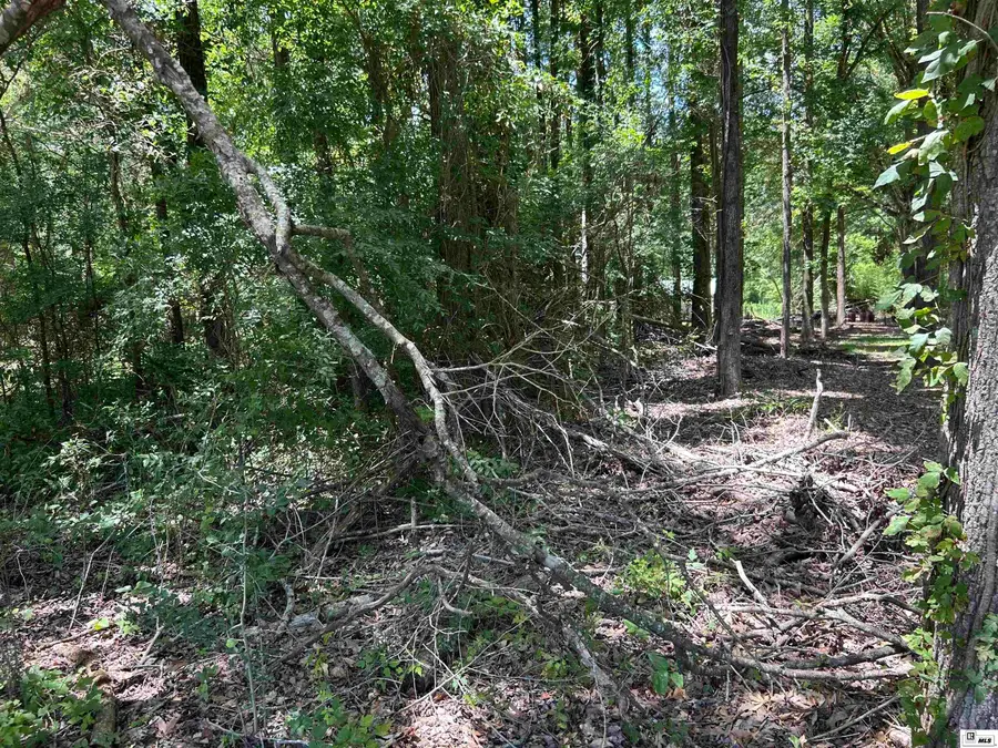 0 Sun Valley Drive, Monroe, LA 71203 - #2