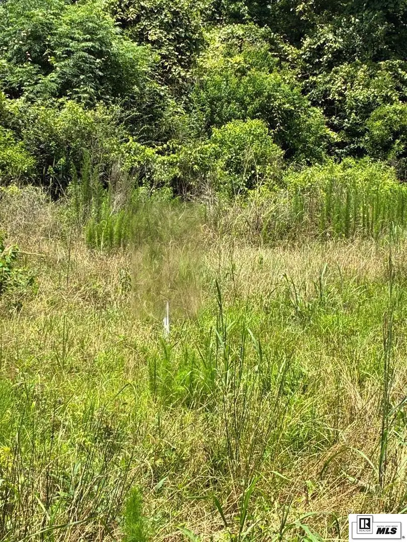 00 Spearsville Road, Spearsville, LA 71277 - #3