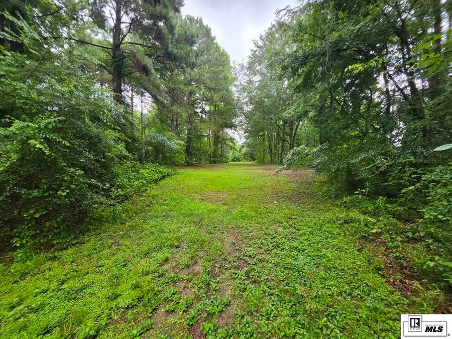 00 Formby Ridge Road, Farmerville, LA 71241 - #3