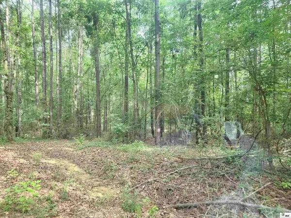 00 Seven Runs Road, Columbia, LA 71418