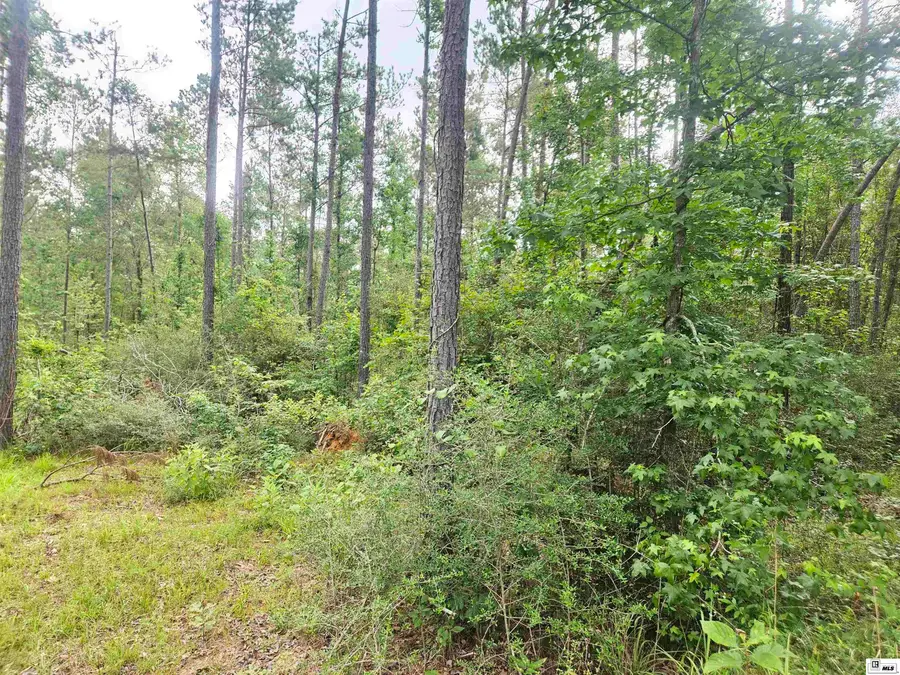 00 Seven Runs Road, Columbia, LA 71418 - #3