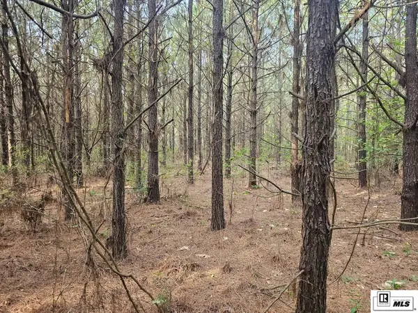 000 County Line Road, Ruston, LA 71270