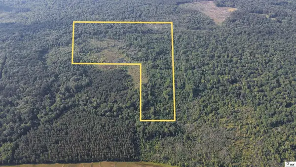 0 Area 4 Road, Chatham, LA 71226