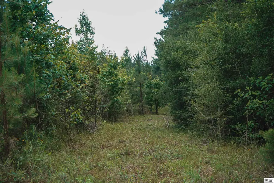 0 Garner Road, Weston, LA 71251 - #3