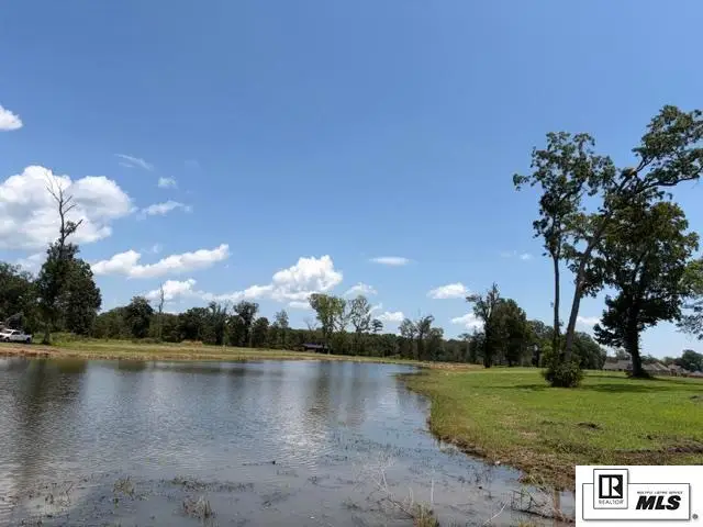 216 Baron Road, Sterlington, LA 71280 - #1