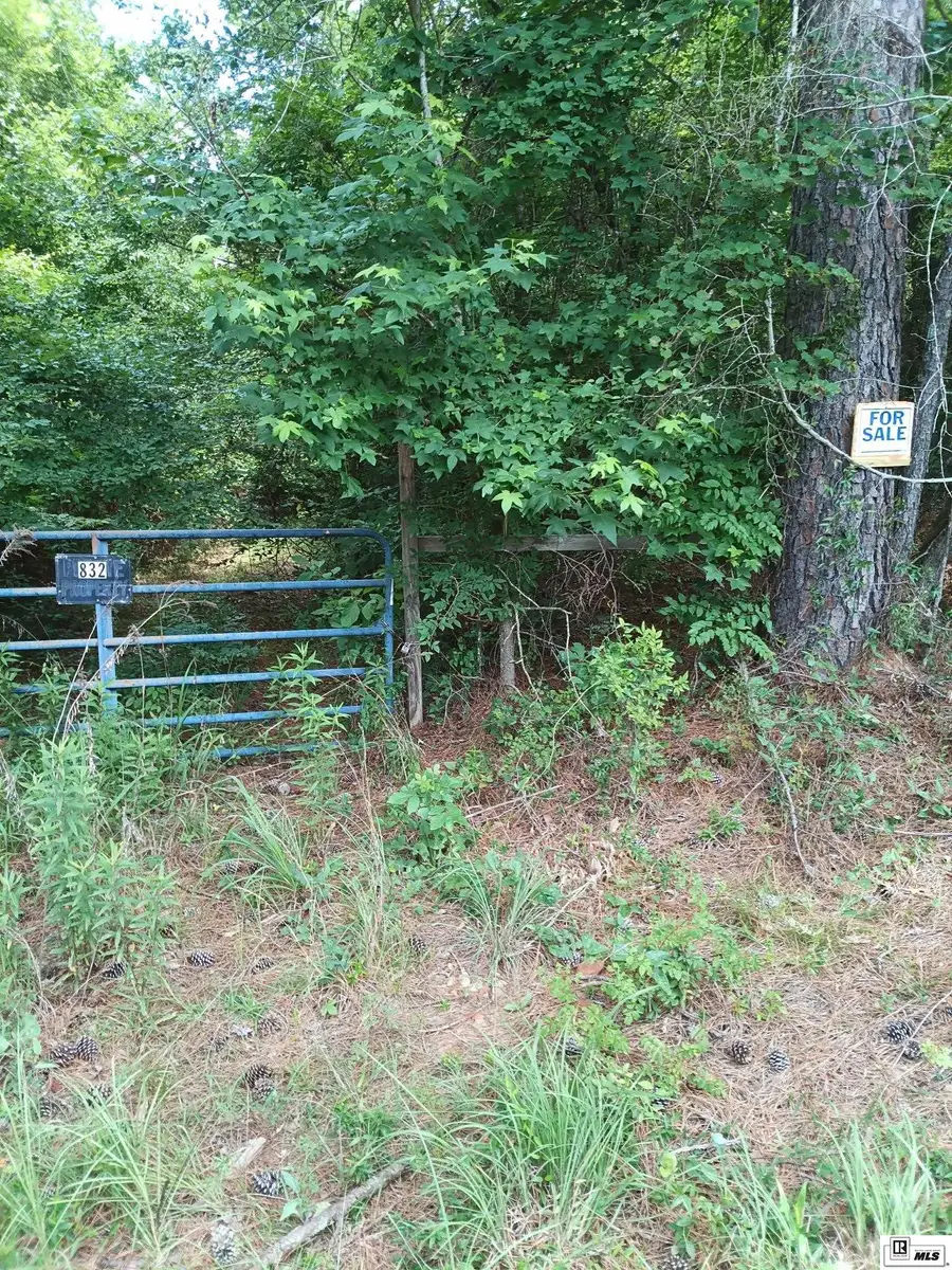 0 Carter Road, Downsville, LA 71241 - #2
