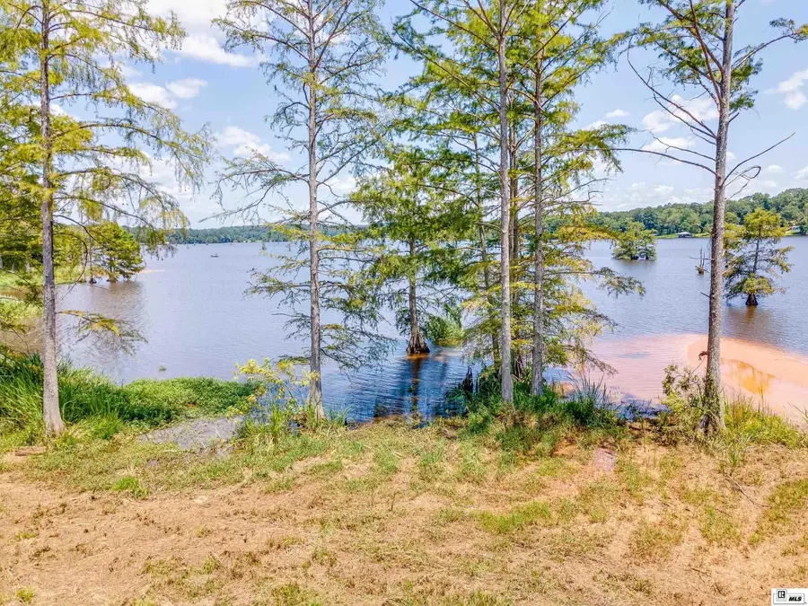 000 Cove Road, Farmerville, LA 71241 - #3