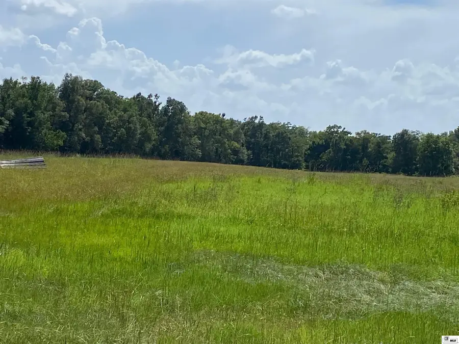 12633 Journeys End Road, Mer Rouge, LA 71261 - #3