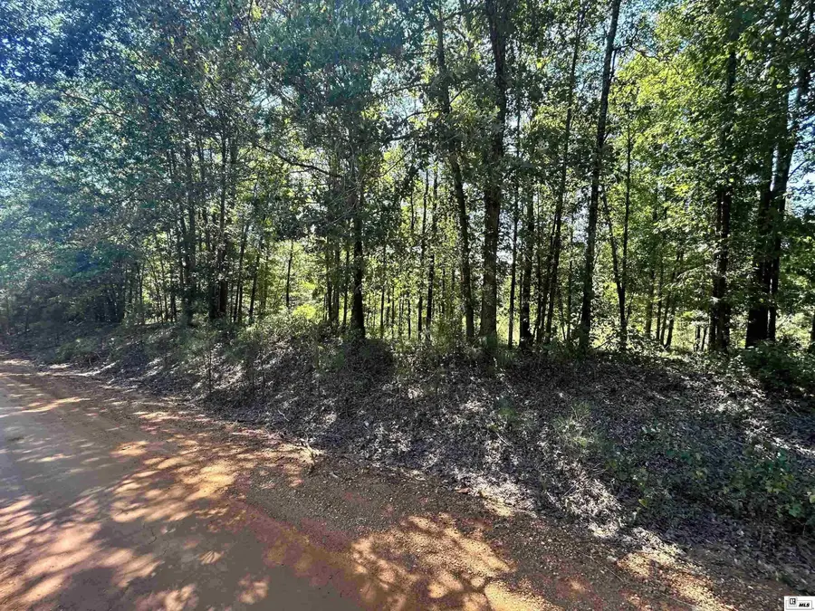 000 Zion Hill Church Road, Farmerville, LA 71241 - #2
