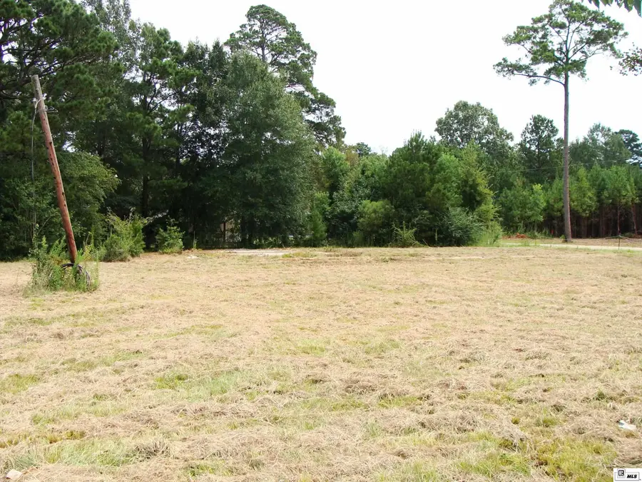 104 Vinson Street, Jonesboro, LA 71251 - #3