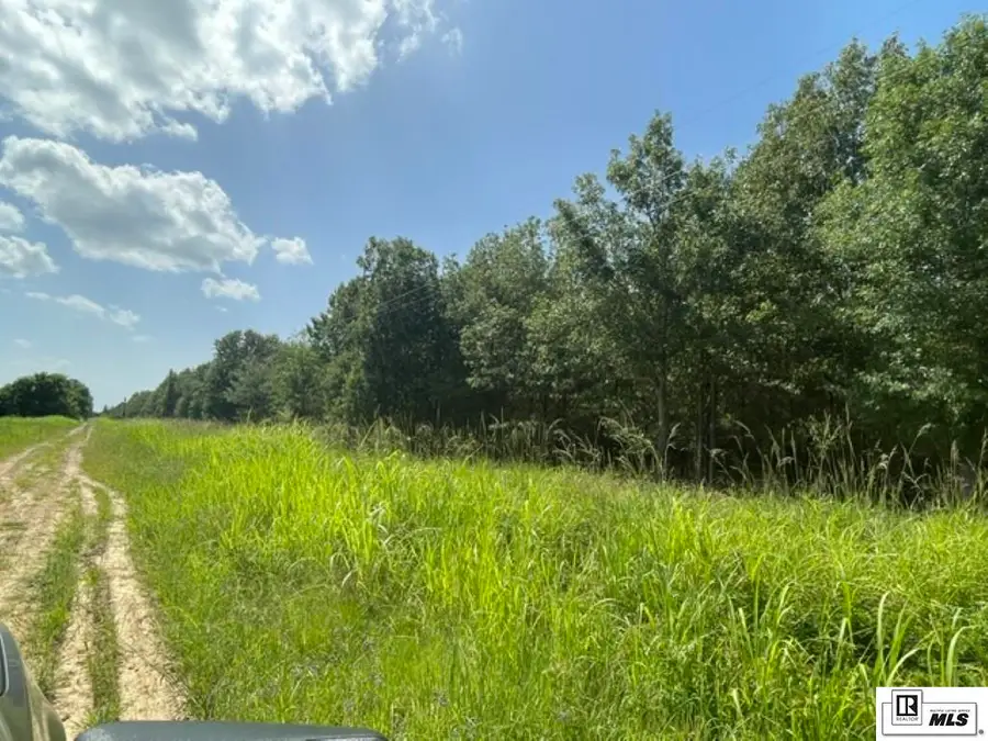 00 Clear Lake Road, Oak Grove, LA 71263 - #2