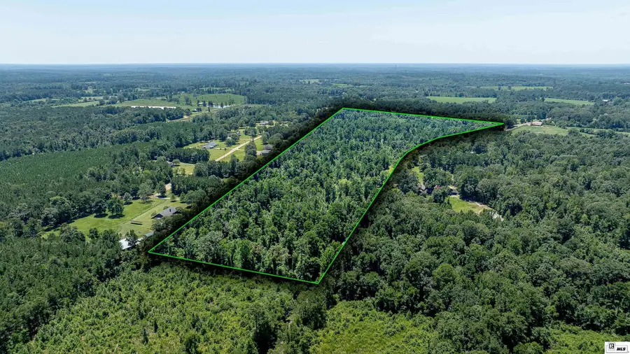 0 Downsville Road, Downsville, LA 71234 - #3