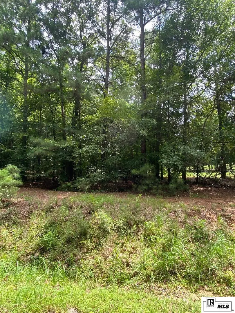 00 Griggs Road, Calhoun, LA 71225 - #1