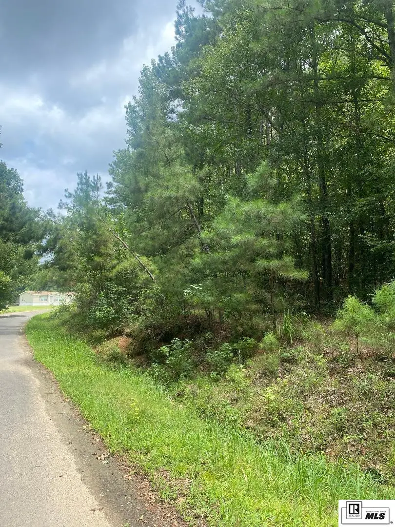 00 Griggs Road, Calhoun, LA 71225 - #3