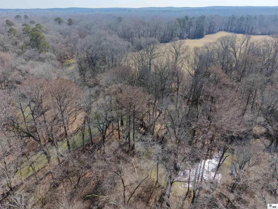 000 Highway 545, Dubach, LA 71235 - #3