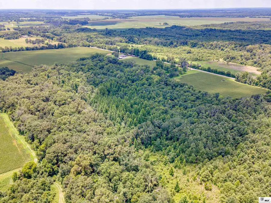 0 Whitehall Road, Mangham, LA 71259 - #3