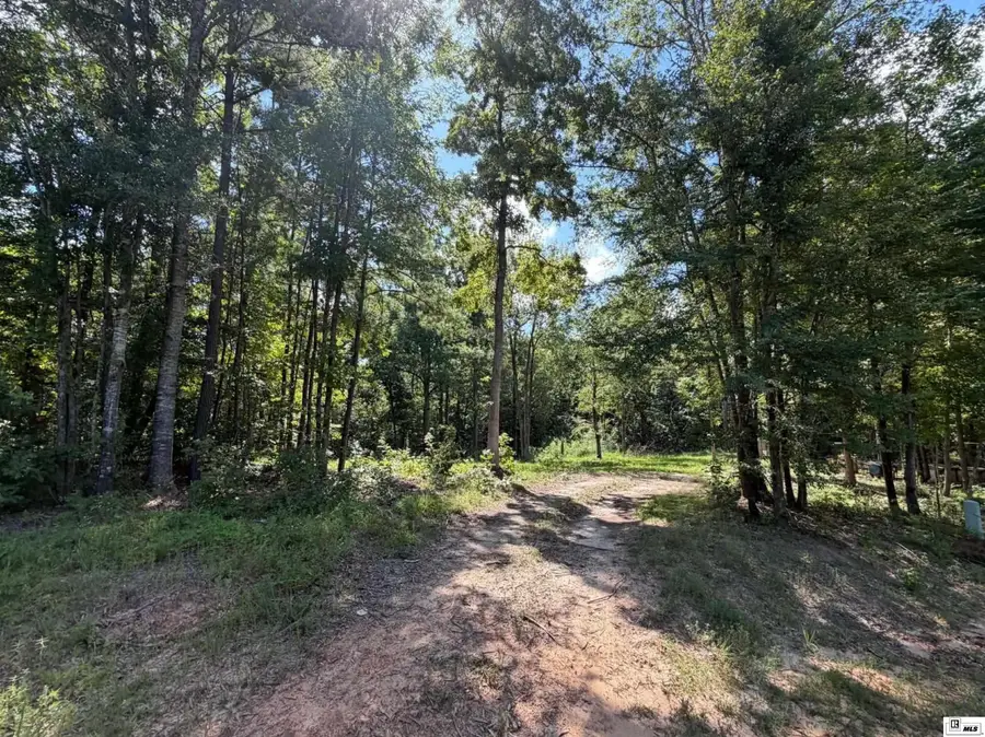 0 Bella Vista Road, Homer, LA 71040 - #2