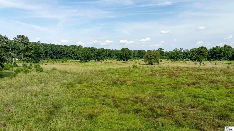 000 Highway 15, Downsville, LA 71234 - #2