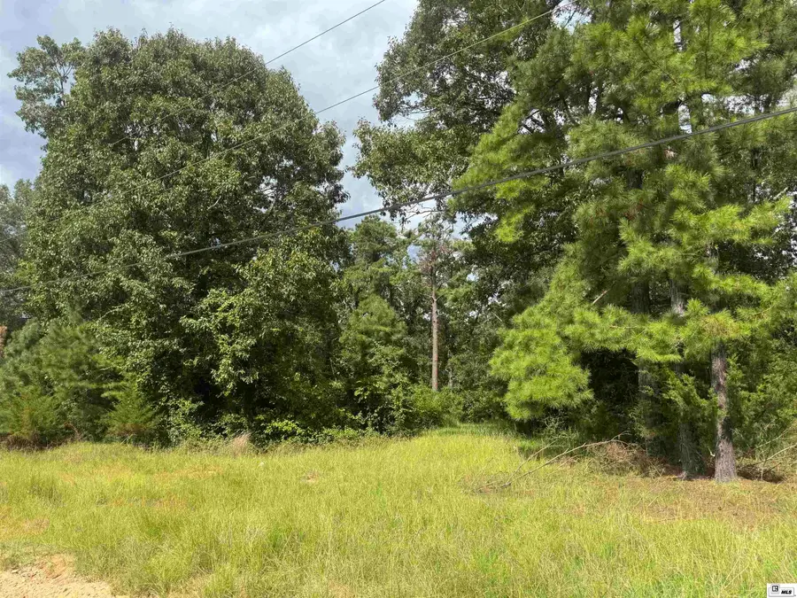 150 Terrell Lane, Calhoun, LA 71225 - #2
