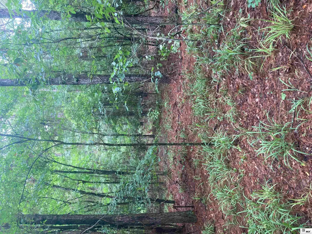 16701 Highway 9, Athens, LA 71003 - #1