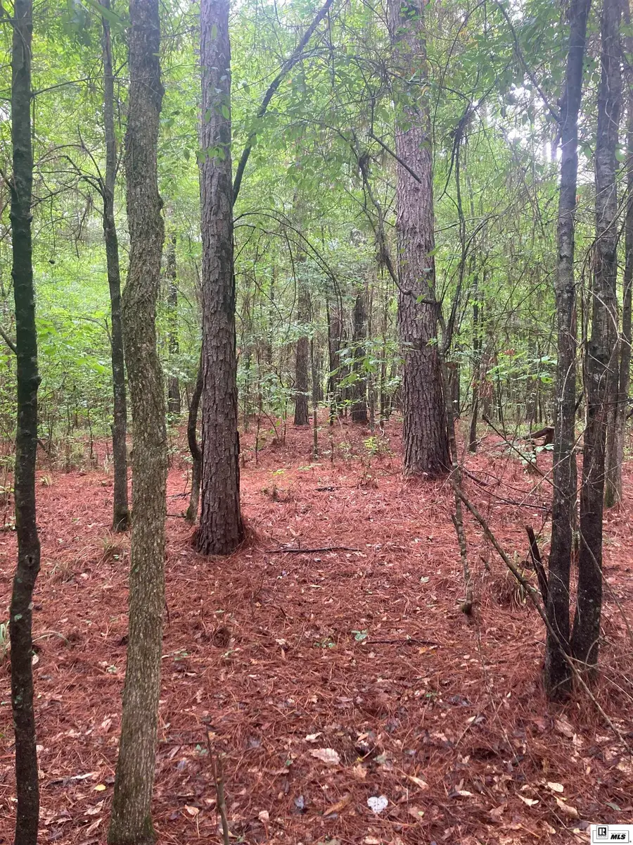 16701 Highway 9, Athens, LA 71003 - #2