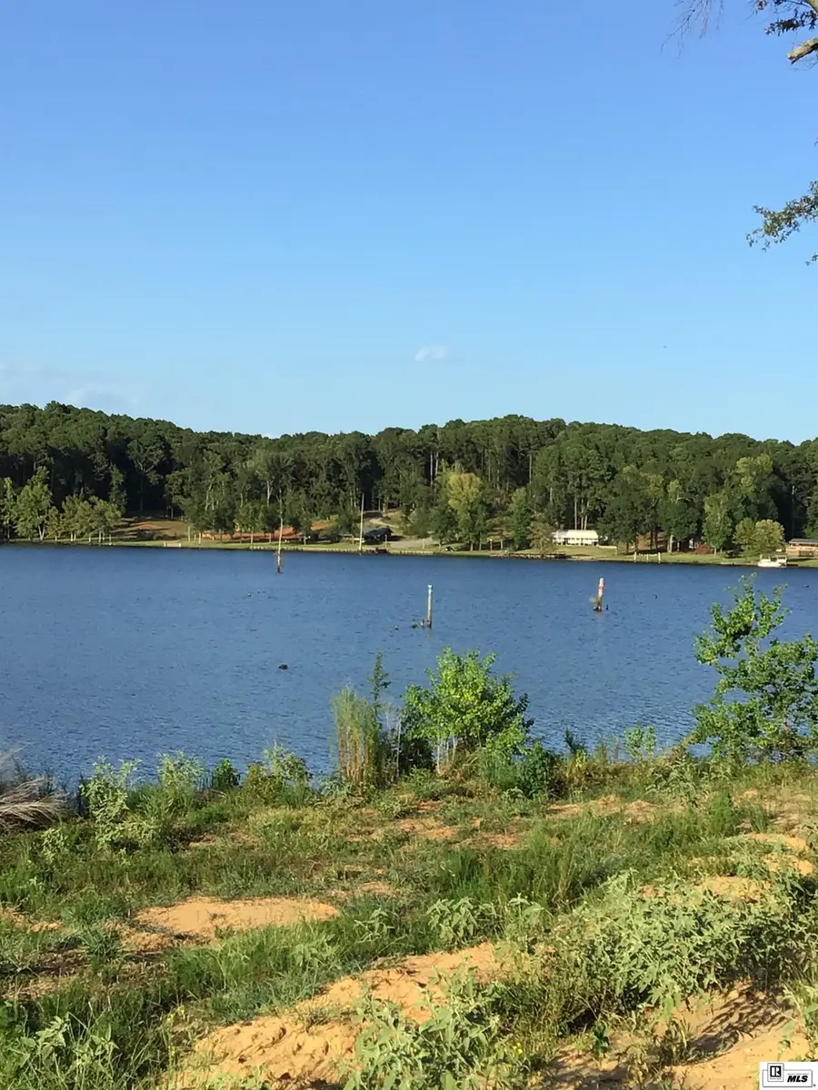 147 Trenon Lane, Farmerville, LA 71241 - #3