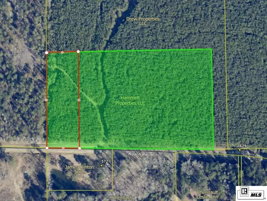 539 Roach Road, Choudrant, LA 71227 - #2