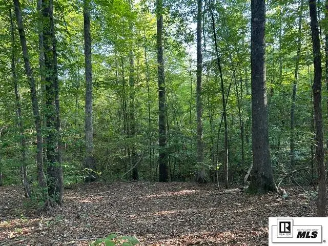 00 Tiger Bend Road, Marion, LA 71260 - #1