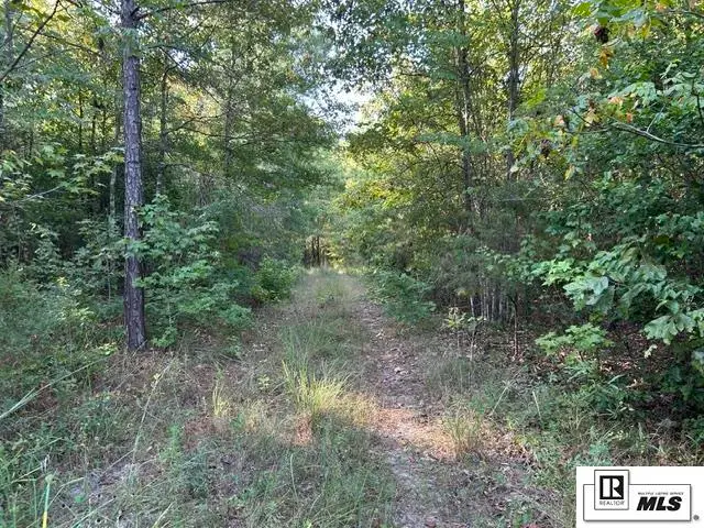 00 Tiger Bend Road, Marion, LA 71260 - #2