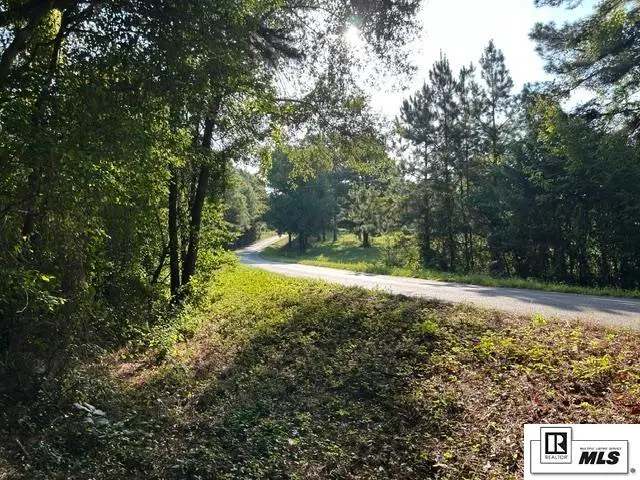00 Tiger Bend Road, Marion, LA 71260 - #3