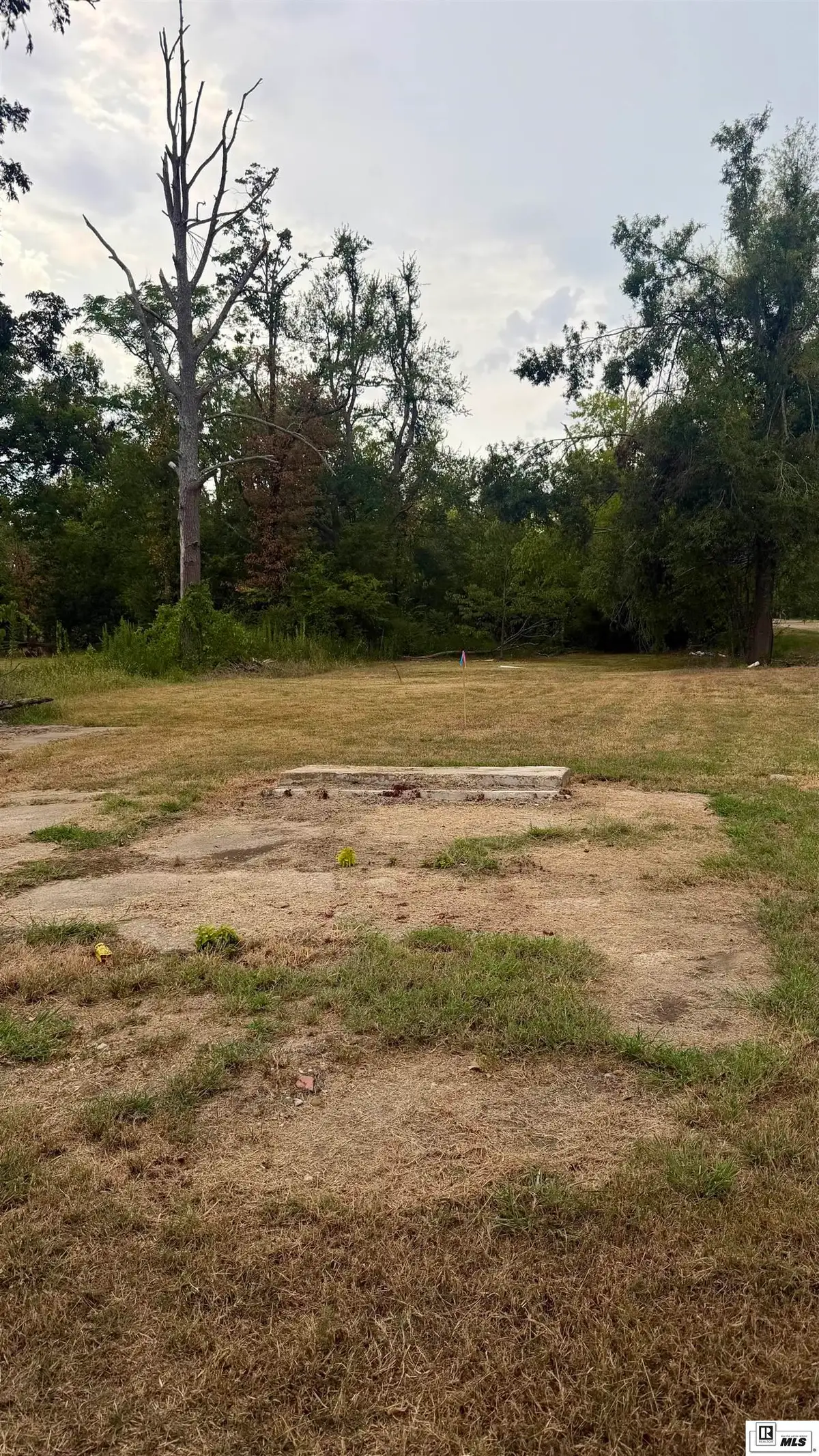 105 Maple Street, Rayville, LA 71269 - #1
