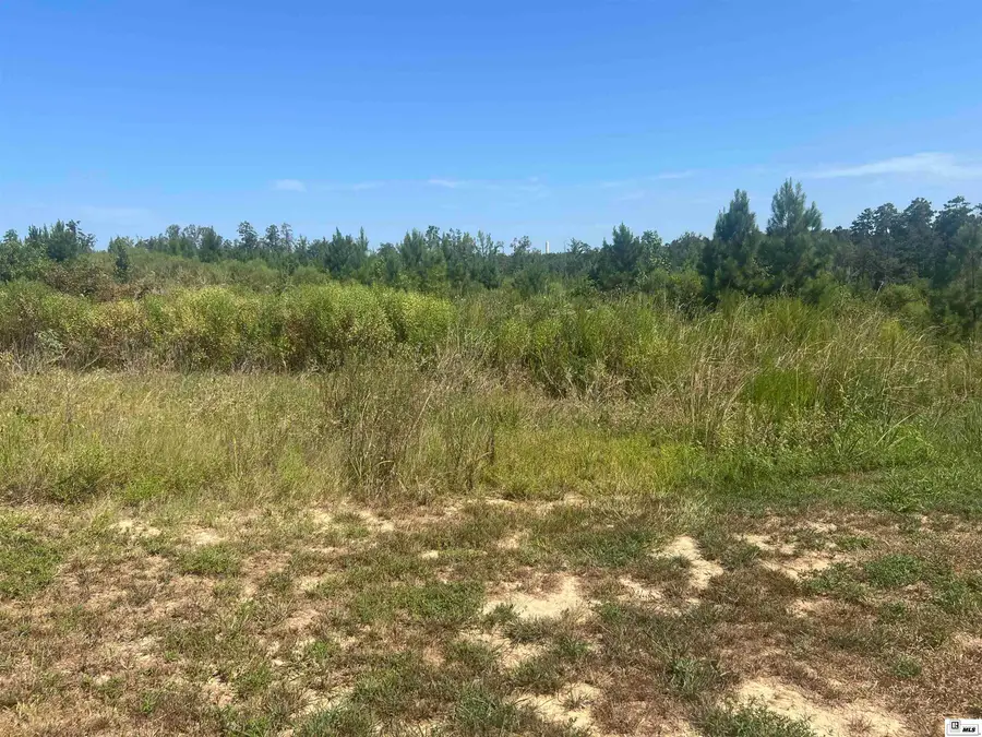 385 Chief Lane, Calhoun, LA 71225 - #3