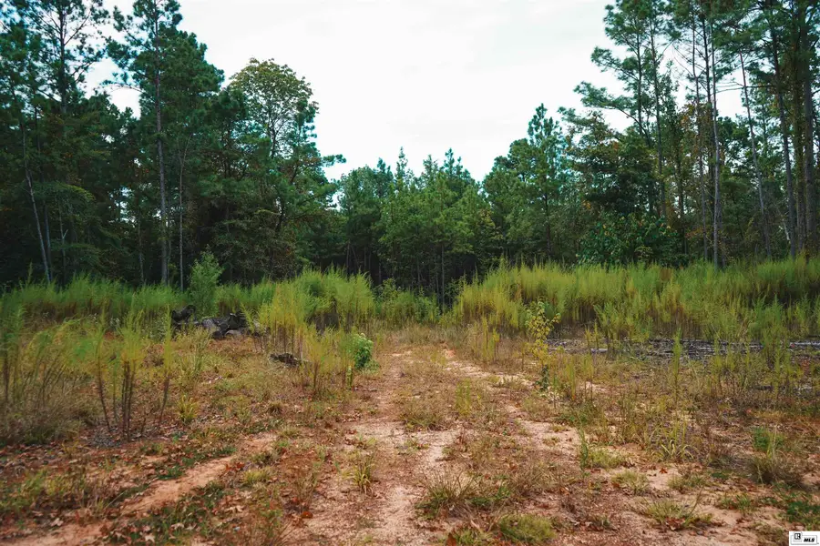 0 Highway 151, Farmerville, LA 71241 - #3