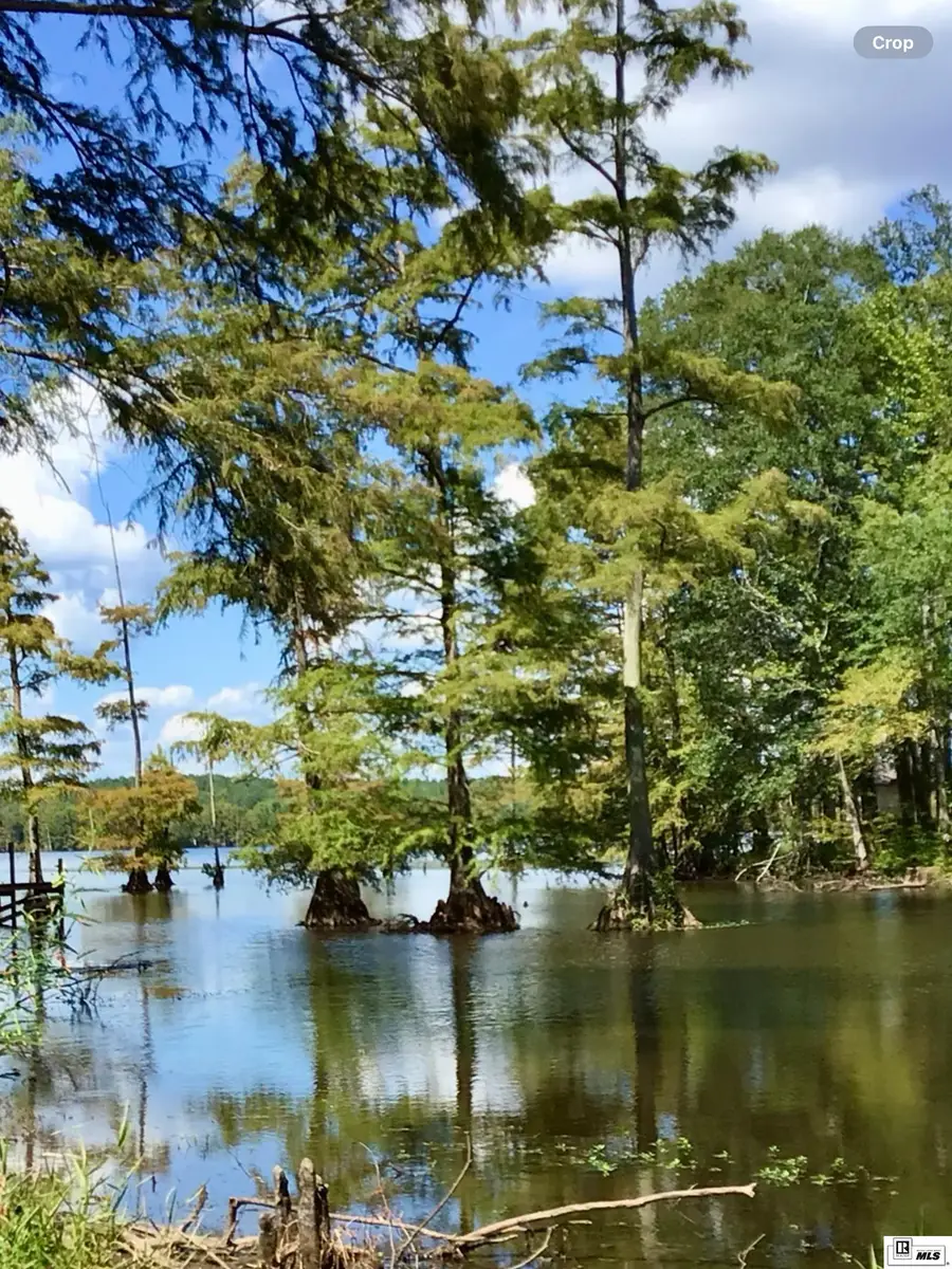 208 Alexis Drive, Farmerville, LA 71242 - #3