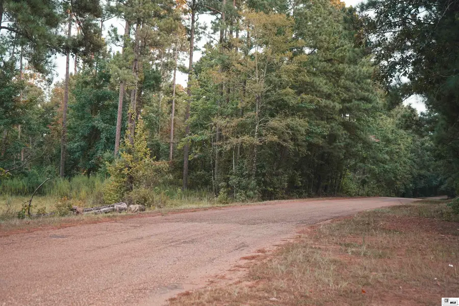 0 Millard Hill Road, Farmerville, LA 71241 - #2