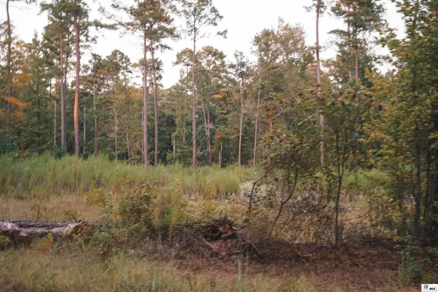 0 Millard Hill Road, Farmerville, LA 71241 - #3