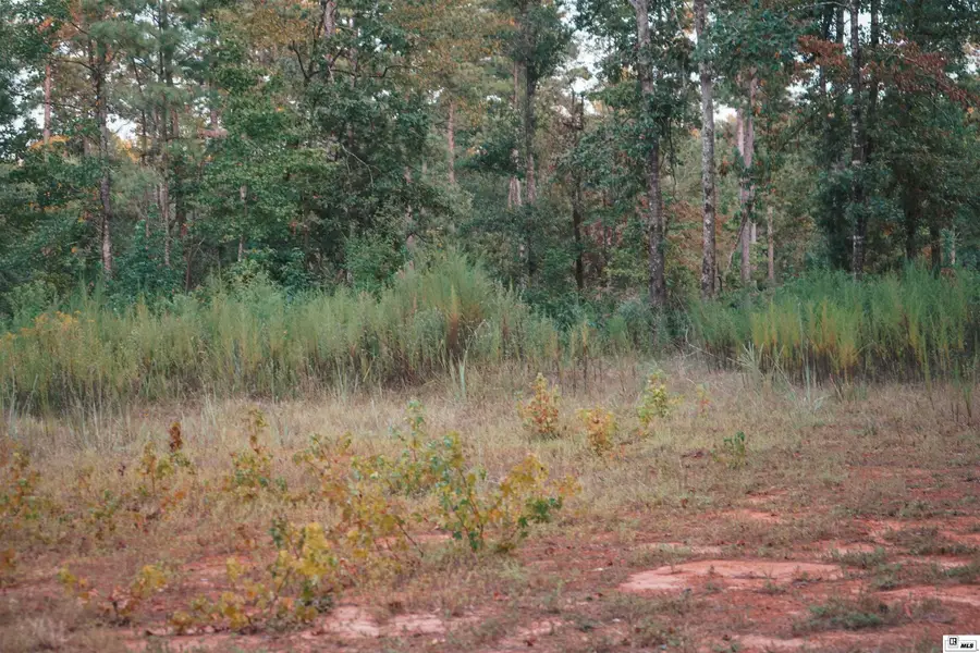 0c Millard Hill Road, Farmerville, LA 71241 - #3