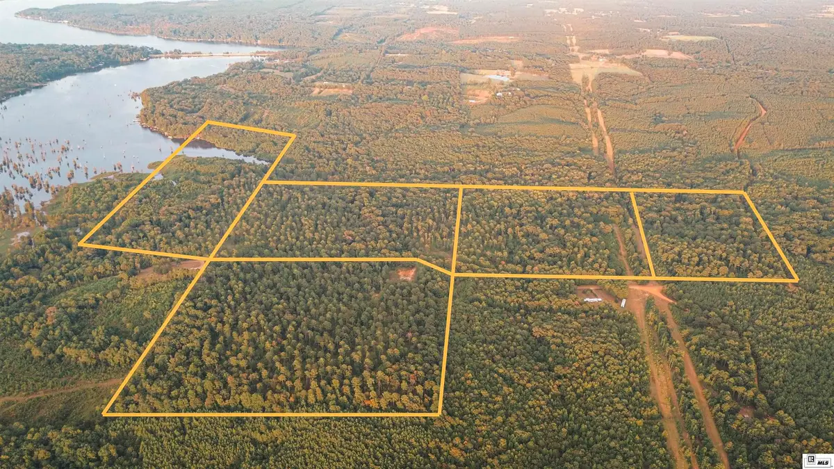 0D Millard Hill Road, Farmerville, LA 71241 - #1